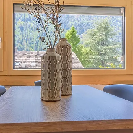 Italy Pinzolo Due Vakantiehuis